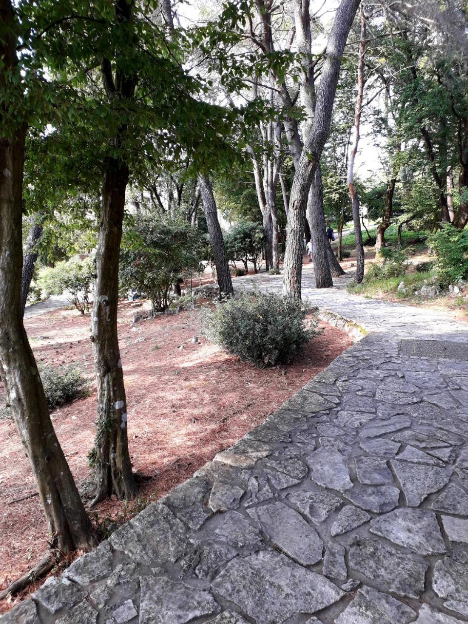 Apartments And Rooms Haludovo - Ribarsko Selo Malinska Luaran gambar